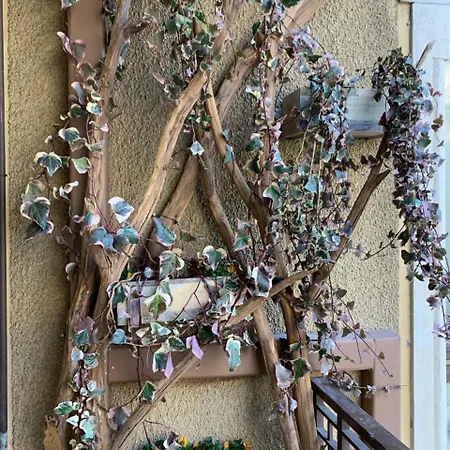 Penzion Bello!lake 4*