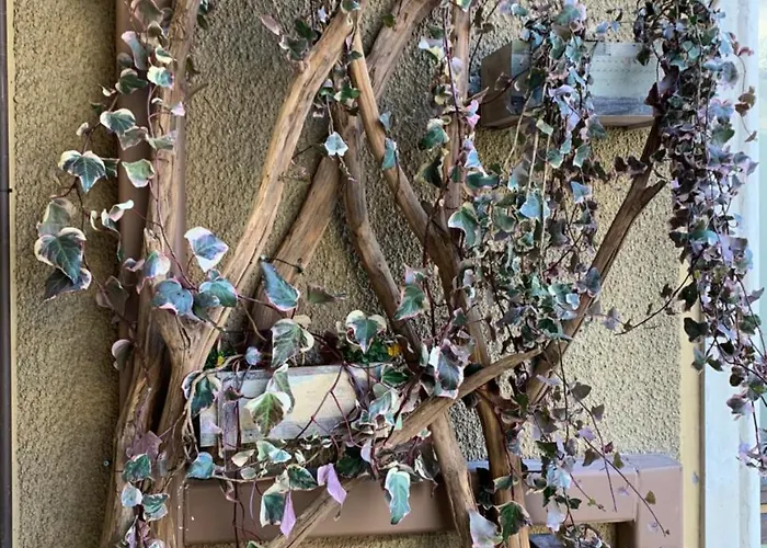 Maison d'hôtes Bello!lake 4*